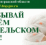 Акция «Судебные приставы – детям» - SyasNews.Ru