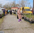 Весенняя ярмарка в Сясьстрое - 2024 - SyasNews.Ru