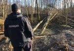 В деревне Плотично обнаружены останки женщины