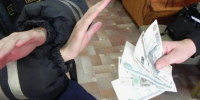 За попытку дать взятку — уголовное дело - SyasNews.Ru