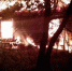 Сводка ЧП: пожары, аварии, вызовы – спасатели Ленобласти в работе - SyasNews.Ru