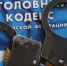 Задержана мошенница, обманувшая пенсионера на полмиллиона рублей - SyasNews.Ru