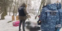 Чемоданы с расчлененным телом найдены на берегу реки - SyasNews.Ru