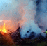 Подразделения Леноблпожспас отработали 11 вызовов за сутки - SyasNews.Ru