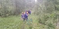 В лесах под Слудицами спасатели помогли заблудившейся женщине и потерявшемуся мужчине - SyasNews.Ru