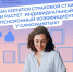 Как самозанятым увеличить пенсию: инструкция по добровольным взносам - SyasNews.Ru