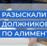 Должник по алиментам из Волхова скрывался в Турции от долгов - SyasNews.Ru
