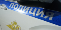 Мужчина обвиняется в жестоком убийстве кота на глазах у 4-летнего сына - SyasNews.Ru