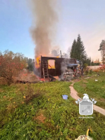 Пожарная сводка Леноблпожспас: четыре возгорания за сутки
